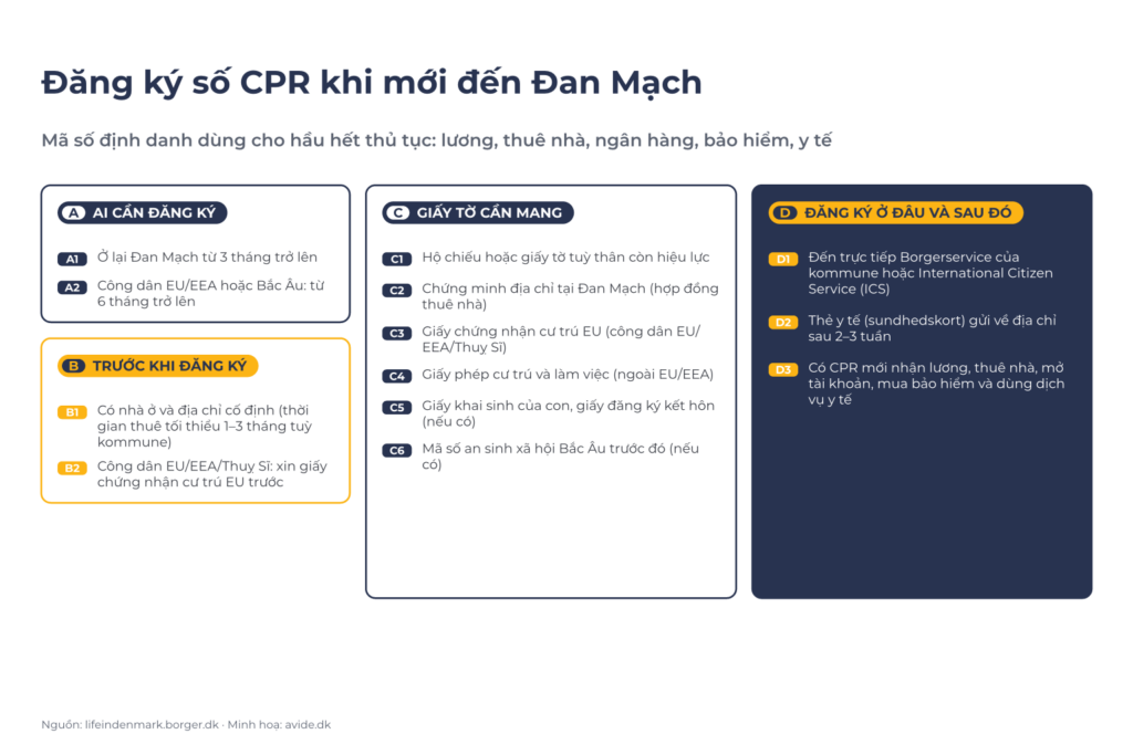 Sơ đồ đăng ký CPR: ai cần đăng ký A1–A2; trước khi đăng ký B1–B2; giấy tờ cần mang C1–C6; đăng ký ở đâu và sau đó D1–D3