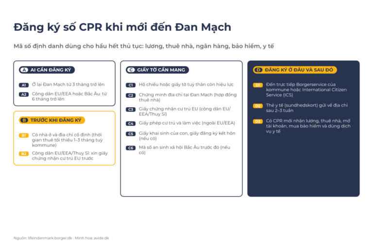 Sơ đồ đăng ký CPR: ai cần đăng ký A1–A2; trước khi đăng ký B1–B2; giấy tờ cần mang C1–C6; đăng ký ở đâu và sau đó D1–D3