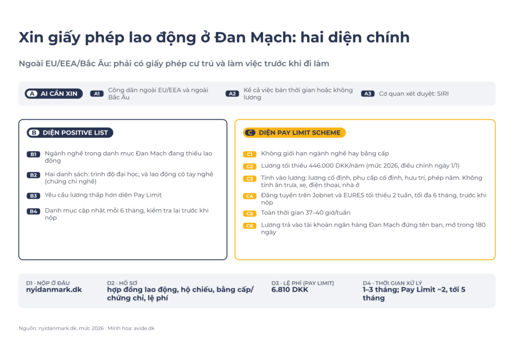Sơ đồ xin giấy phép lao động ở Đan Mạch: ai cần xin A1–A3, diện Positive List B1–B4, diện Pay Limit Scheme C1–C6, nộp hồ sơ D1–D4