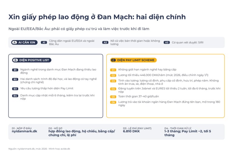 Sơ đồ xin giấy phép lao động ở Đan Mạch: ai cần xin A1–A3, diện Positive List B1–B4, diện Pay Limit Scheme C1–C6, nộp hồ sơ D1–D4